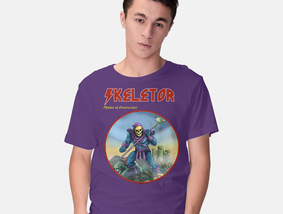 Skeletor Master Of Destruction
