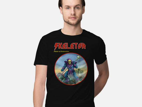 Skeletor Master Of Destruction