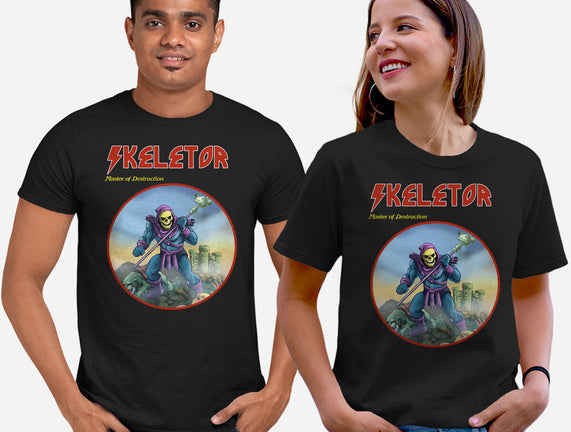 Skeletor Master Of Destruction