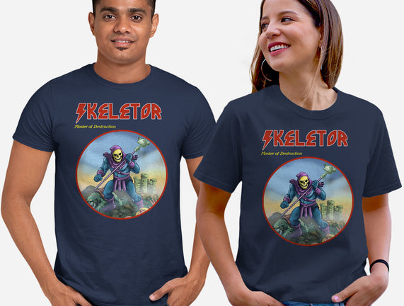 Skeletor Master Of Destruction