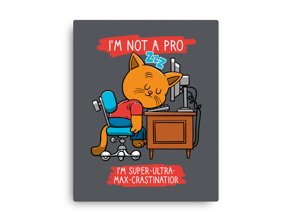 Expert Procrastinator