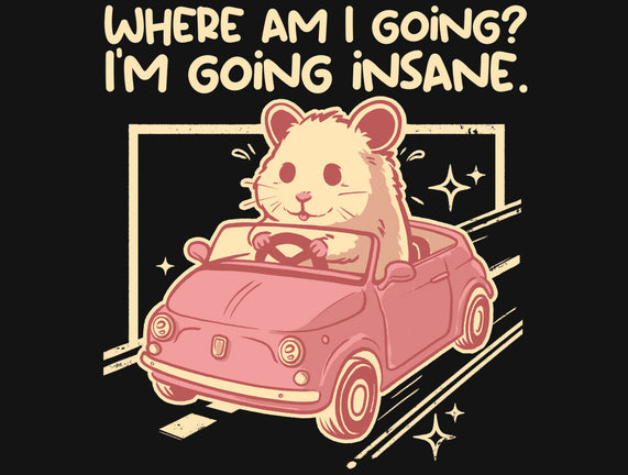 I Am Going Insane