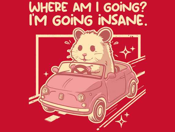 I Am Going Insane