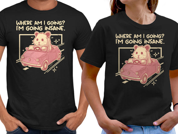 I Am Going Insane