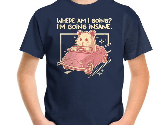 I Am Going Insane