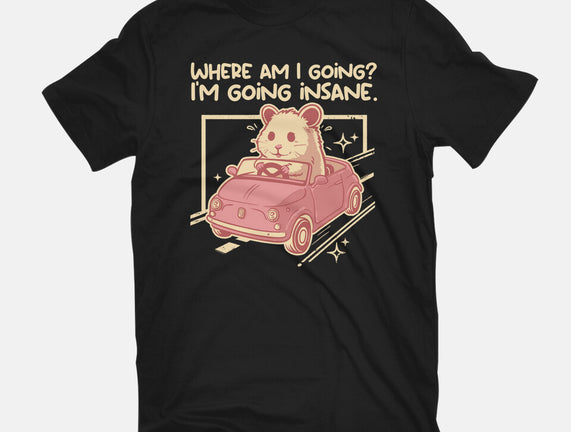 I Am Going Insane