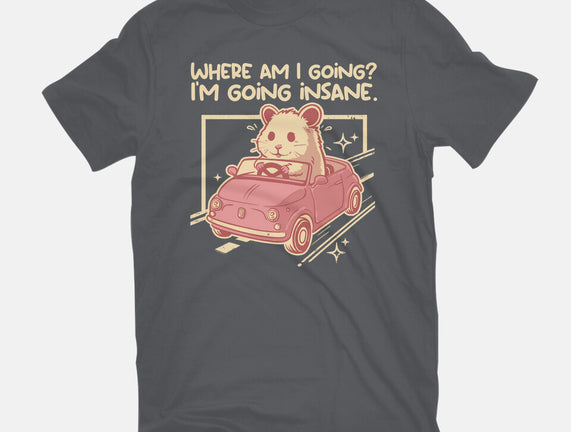I Am Going Insane