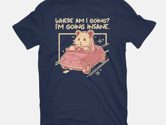 I Am Going Insane