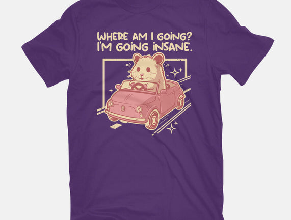 I Am Going Insane