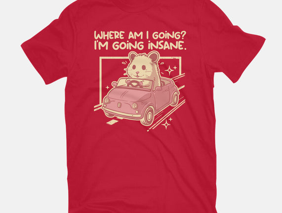 I Am Going Insane