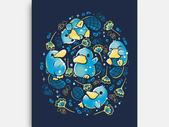 Platypus