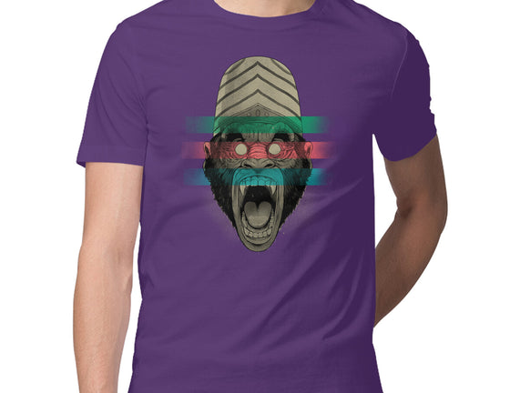 Primate Fury