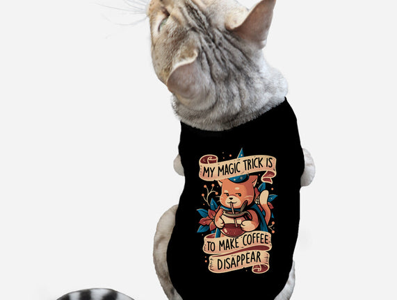 Magic Trick Cat