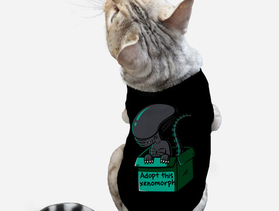 Adopt This Xenomorph