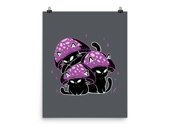 Mushroom Cats