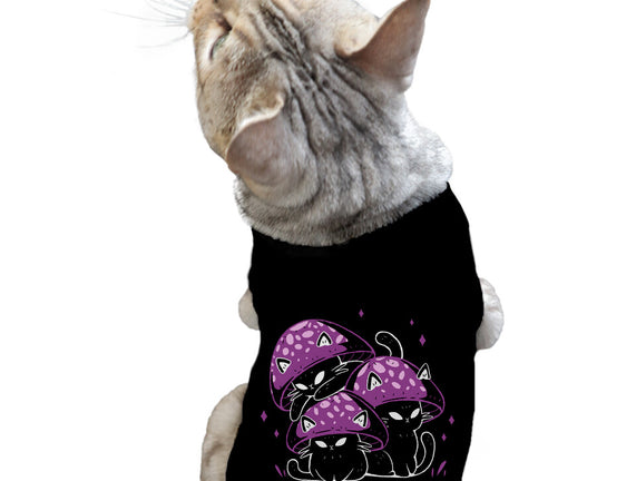 Mushroom Cats