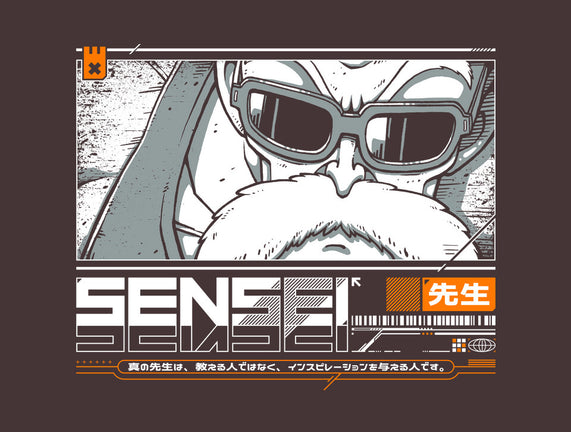 Sensei V4 MRoshi