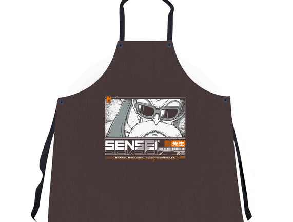 Sensei V4 MRoshi