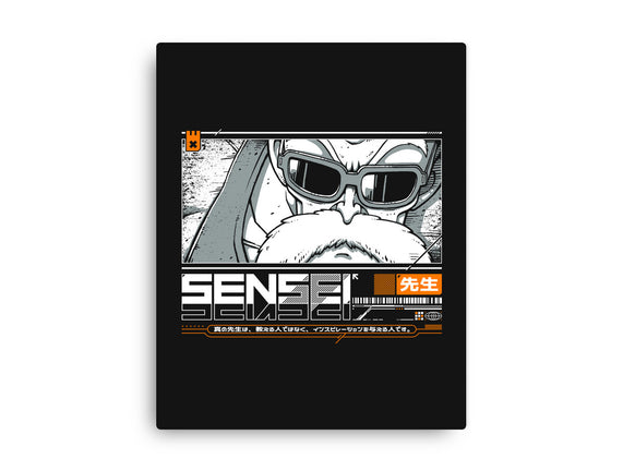 Sensei V4 MRoshi