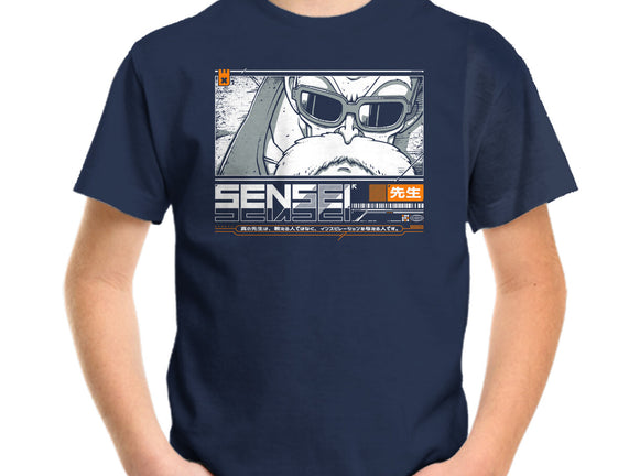 Sensei V4 MRoshi