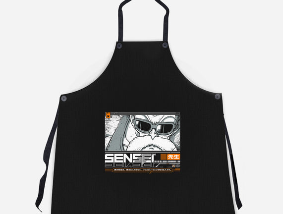 Sensei V4 MRoshi