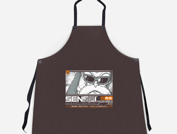 Sensei V4 MRoshi