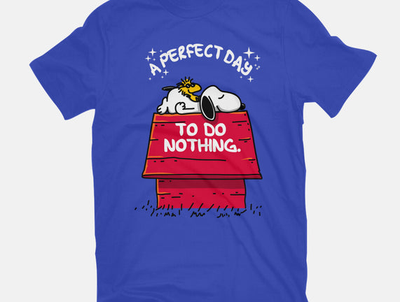 A Perfect Day