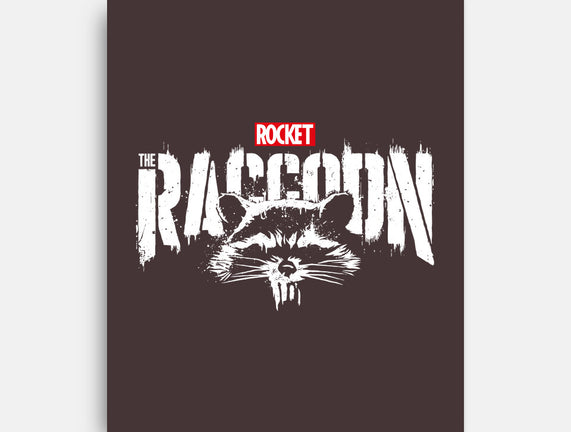 Raccoonisher