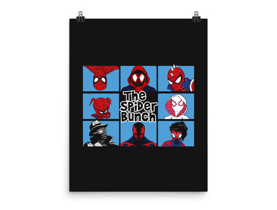 The Spider Bunch