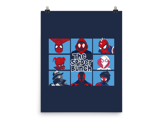 The Spider Bunch