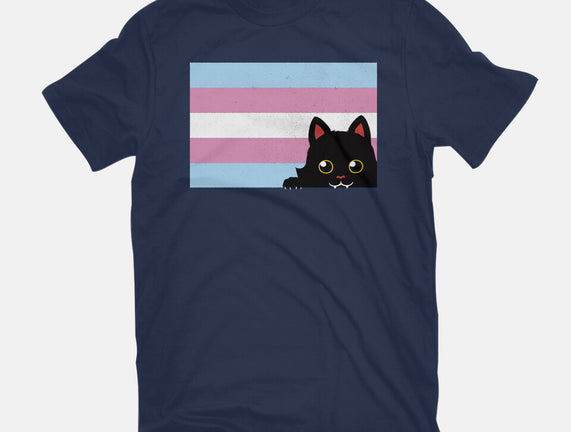 Peeking Cat Trans Flag