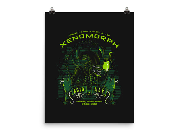 Xeno's Acid Ale