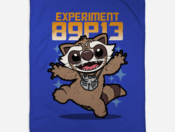 Experiment 89P13