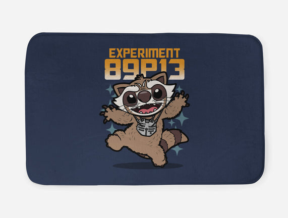 Experiment 89P13