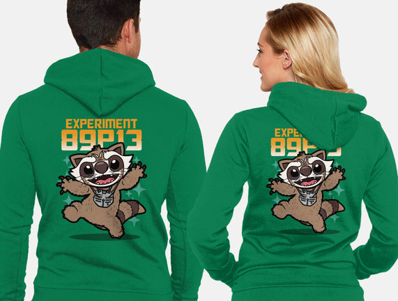 Experiment 89P13