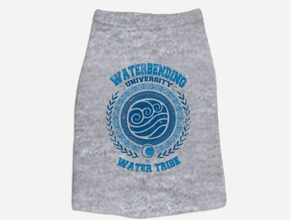 Waterbending University
