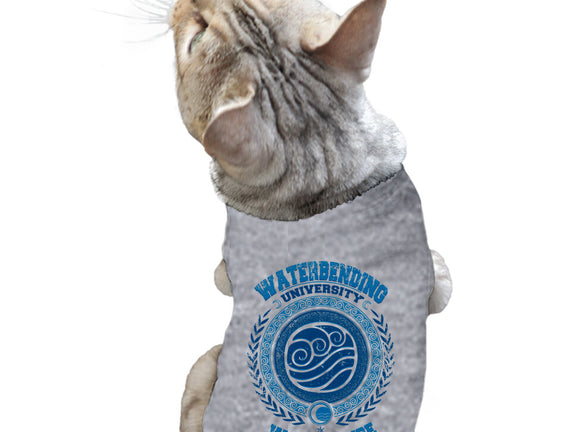 Waterbending University