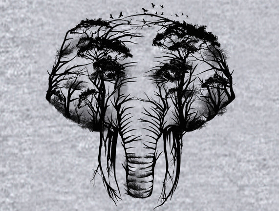 Wild Safari