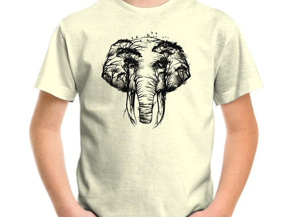 Wild Safari