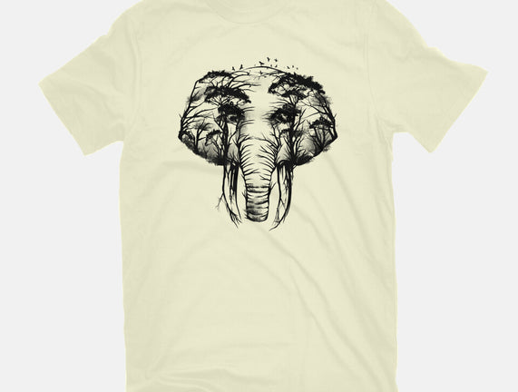 Wild Safari