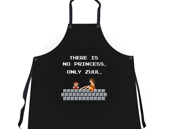 There Is No Princess