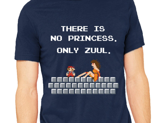 There Is No Princess