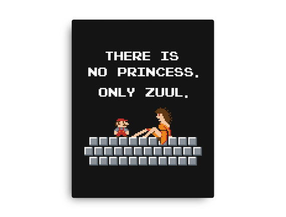 There Is No Princess