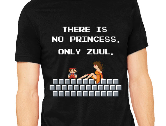 There Is No Princess