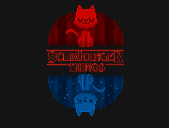 Schrodinger Things