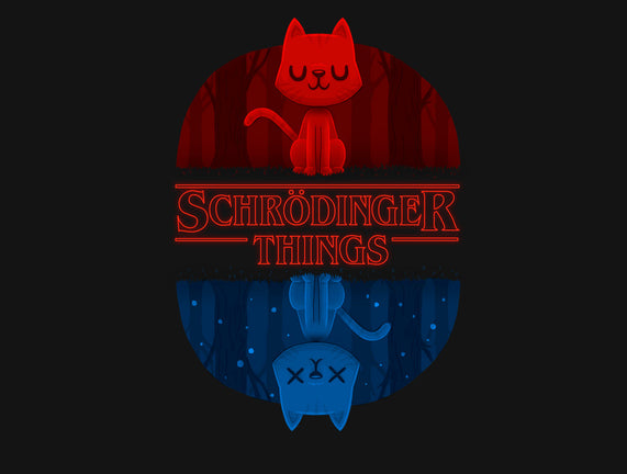 Schrodinger Things