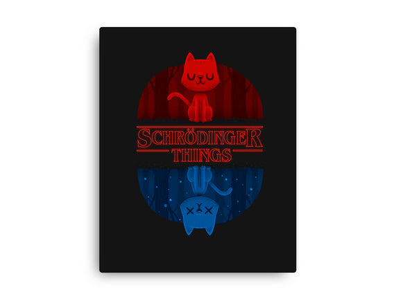 Schrodinger Things