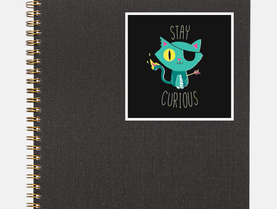 Stay Curious