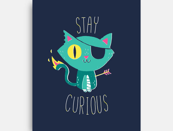 Stay Curious