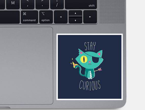 Stay Curious